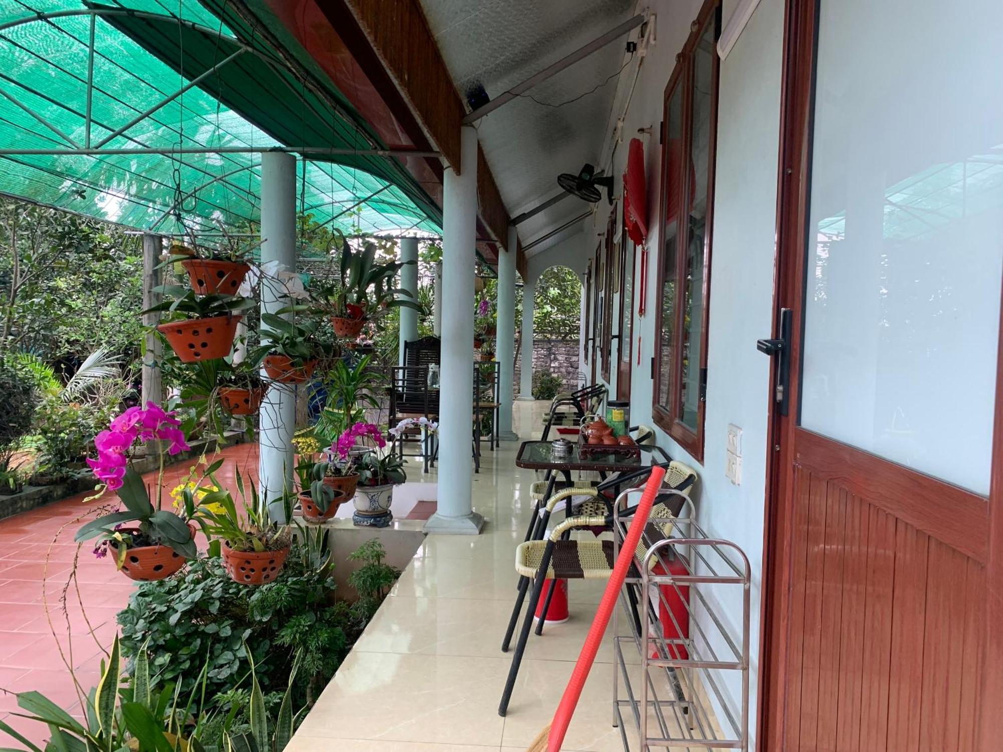 Tre Xanh Homestay Ninh Bình Exteriör bild