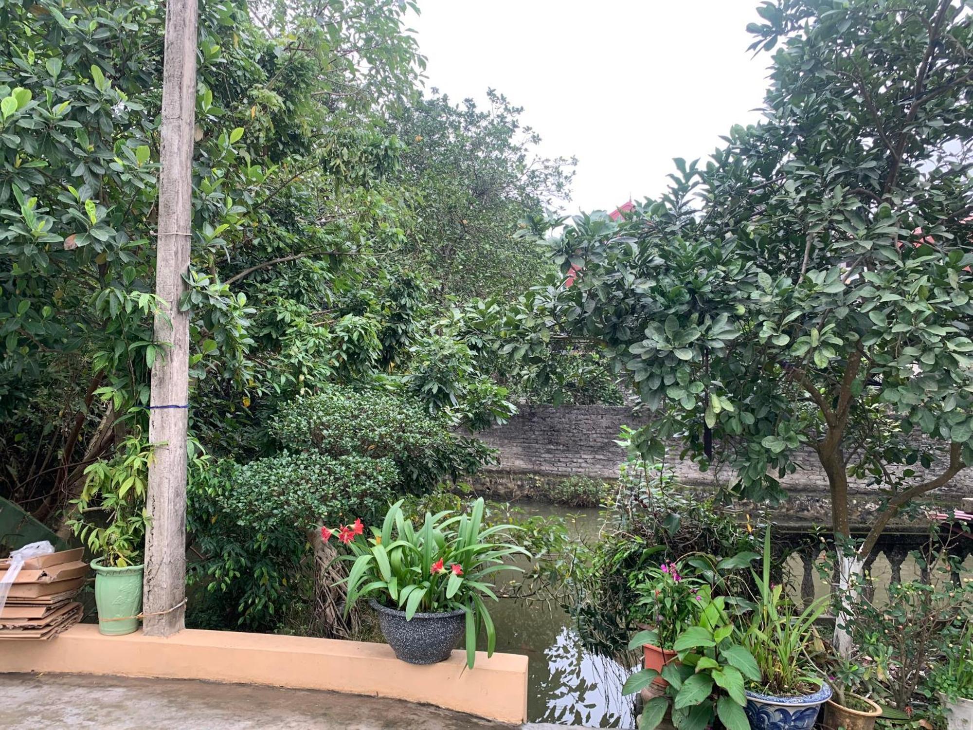 Tre Xanh Homestay Ninh Bình Exteriör bild